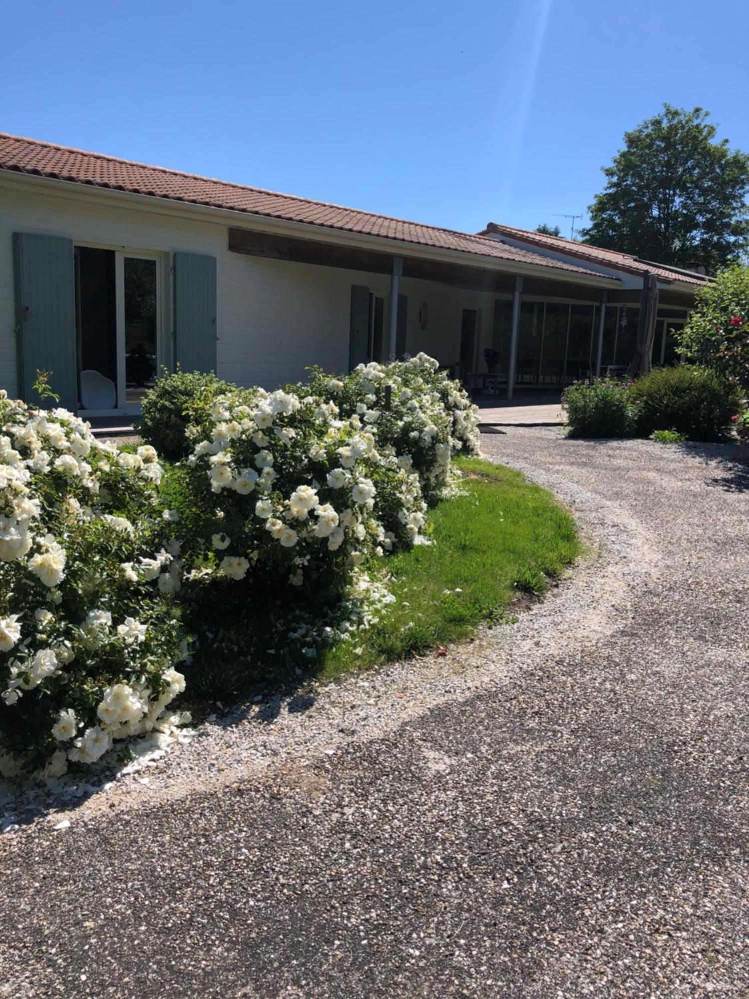 Chambres D Hotes Villa Anani Cosson Alex Barbezieux-Saint-Hilaire Eksteriør billede